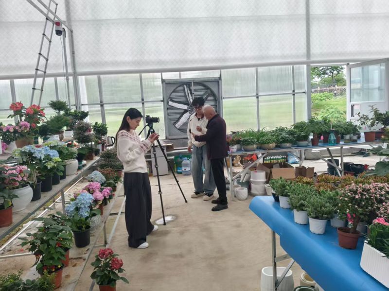 花卉市场风机水帘安装